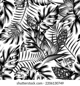 vintage jungle background seamless pattern with gray monochromatic tropical monstera palm leaves and abstract flower plant foliage on white background. Floral background. Exotic tropic. Summer. spring
