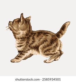 Vintage kitten pet,, vintage vector element.