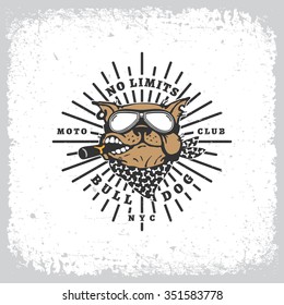 Vintage label with bulldog in goggles and rays on grunge background for t-shirt print, poster, emblem. Vector illustration.