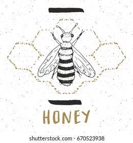 Vintage label, Hand drawn bee, grunge textured badge, retro logo template, typography design vector illustration