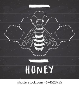 Vintage label, Hand drawn bee, grunge textured badge, retro logo template, typography design vector illustration on chalkboard.