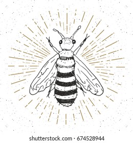 Vintage label, Hand drawn bee, grunge textured badge, retro logo template, typography design vector illustration.