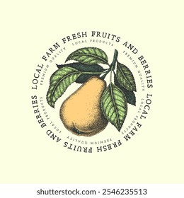 Vintage label with pen and ink hand drawn sketch of pear. Vector illustration.