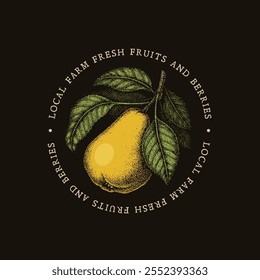 Vintage label with pen and ink hand drawn sketch of pear. For dark background. Vector illustration.