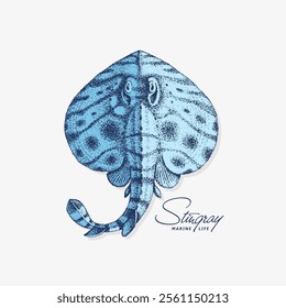 Vintage label with pen and ink hand drawn sketch of a stingray. Vector illustration.