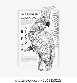 Vintage label with pen and ink hand drawn sketch of white-crested cockatoo parrot. Vector illustration.