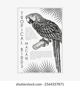 Vintage label with pen and ink hand drawn sketch of red and blue macaw parrot. Vector illustration.