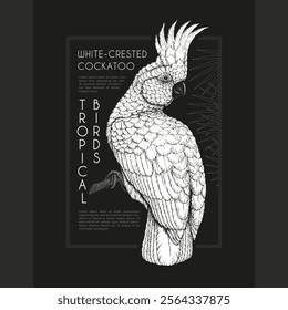 Vintage label with pen and ink hand drawn sketch of white-crested cockatoo parrot. For dark background. Vector illustration.