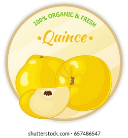 Vintage label with quince isolated on white background in cartoon style. Vector illustration. Fruit and Vegetables Collection.