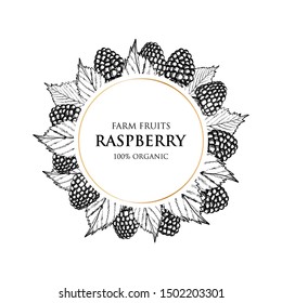 Vintage label with raspberry on white background in engraving style. Vector illustration. Fruit and Vegetables Collection for print and web.