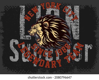 Vintage label set, athletic sport typography for t-shirt print. Varsity style. T-shirt graphic. Vector eps10