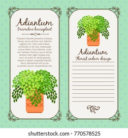Vintage label template with decorative adiantum plant in pot, vector illustration