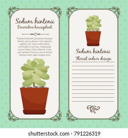 Vintage label template with decorative sedum hintonii plant in pot, vector illustration
