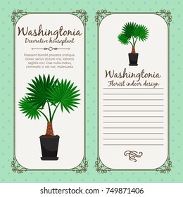 Vintage label template with decorative washingtonia plant in pot, vector illustration