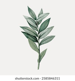 Vintage leaf botanical, vintage vector element. 