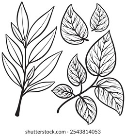 Diseño de elementos de Antiguas Leave con estilo dibujado a mano