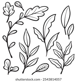 Vintage leave element design with hand drawn style