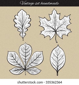 Vintage,  leaves retro set of 4 leaf sketch handmade. 