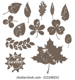 vintage leaves vector collection. for web design labels and logs page decoration. eps 10. fully editable