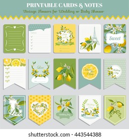 Vintage Lemon Flowers Card Set. Birthday, Wedding, Baby Shower Tags. Vector Design. Summer Illustration.