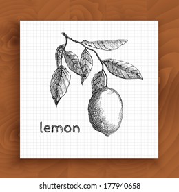 Vintage lemon tree sketch. Vector hand drawn illustration on the wood background.