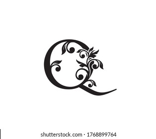 Vintage Letter Q Logo. Classic Q Letter Design Vector with Black Color and Floral Hand Drawn.