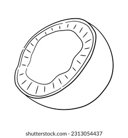 Vintage line art icon with Coconut sketch isolated on white background. Hand drawn vector illustration for web design.