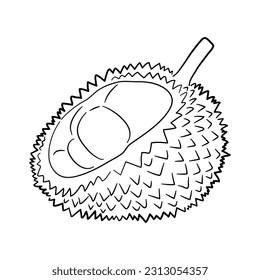 Vintage line art icon with Durian sketch isolated on white background. Hand drawn vector illustration for web design.