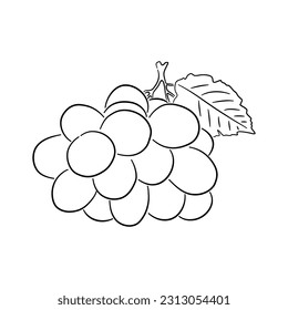 Vintage line art icon with Grape sketch isolated on white background. Hand drawn vector illustration for web design.