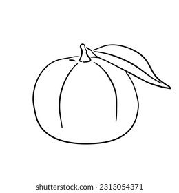 Vintage line art icon with Mandarin sketch isolated on white background. Hand drawn vector illustration for web design.