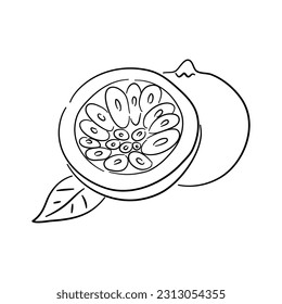 Vintage line art icon with Passion fruit sketch isolated on white background. Hand drawn vector illustration for web design.