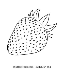Vintage line art icon with Strawberry sketch isolated on white background. Hand drawn vector illustration for web design.
