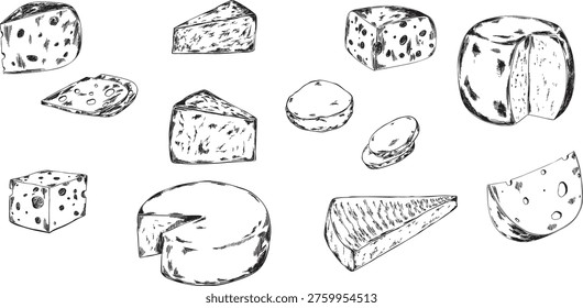 Vintage line art illustrations featuring various types of cheese: brie, camembert, cheddar, gouda, parmesan, and blue cheese. Perfect for gourmet branding, menus, packaging, and dairy-related design.