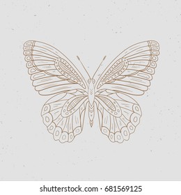 Vintage line butterfly. Vector illustration.