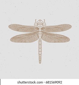 Vintage line dragonfly. Vector illustration.