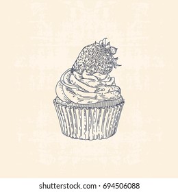 Vintage line drawing illustration of cupcake with strawberry