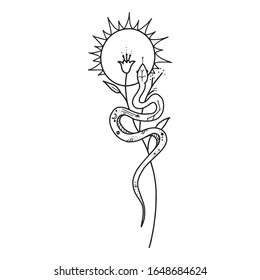 Vintage line snake. Vector illustration.  Collection of Mystical and Mysterious objects. Line art illustration isolated on white background.