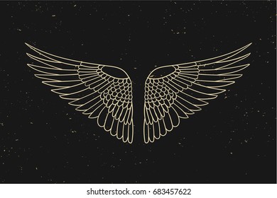 Vintage line wings. Vector illustration.