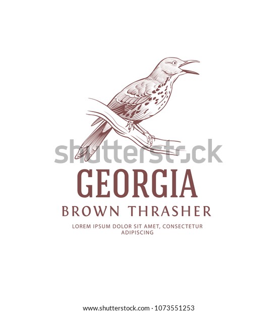 Vintage Logo with Bird. Brown Thrasher State Bird\
Symbol of Georgia