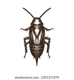 Vintage logo of a cockroach. an old-school logo of roaches. Aesthetic retro logo of a cricket isolated on white background. vector logo of a bug.