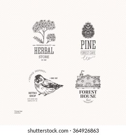 Vintage logo collection. Engraved logo set. Vector illustration