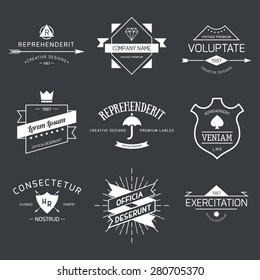 Vintage Logo set, retro design elements, business signs template, logos, identity, labels, badges and objects.