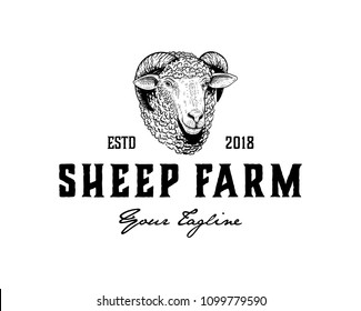 Vintage Logo Of Sheep Head Hand Drawn Illustration Vector