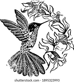 Vintage looking vector isolated hand carved linoleum illustration of hummingbird drinking nectar from tropical flowers.
