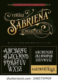 A vintage luxury antique victorian alphabet vector typeset