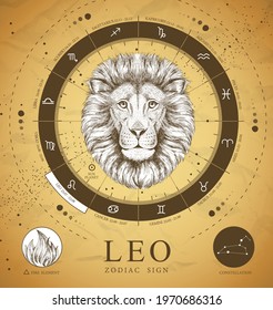 Vintage magic witchcraft card with astrology Leo zodiac sign. Realistic hand drawing lion head. Zodiac characteristic