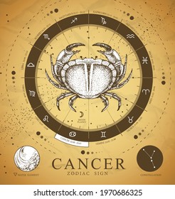 Vintage magic witchcraft card with astrology Cancer zodiac sign. Realistic hand drawing crab illustration. Zodiac characteristic