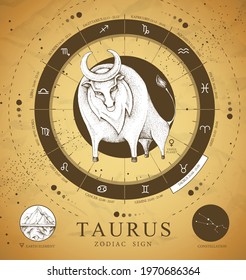 Vintage magic witchcraft card with astrology Taurus zodiac sign. Realistic hand drawing bull head. Zodiac characteristic