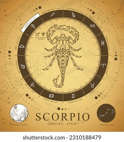 Vintage magic witchcraft card with astrology Scorpio zodiac sign. Polygonal scorpion illustration. Zodiac characteristic