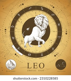 Vintage magic witchcraft card with astrology Leo zodiac sign. Realistic hand drawing lion head. Zodiac characteristic